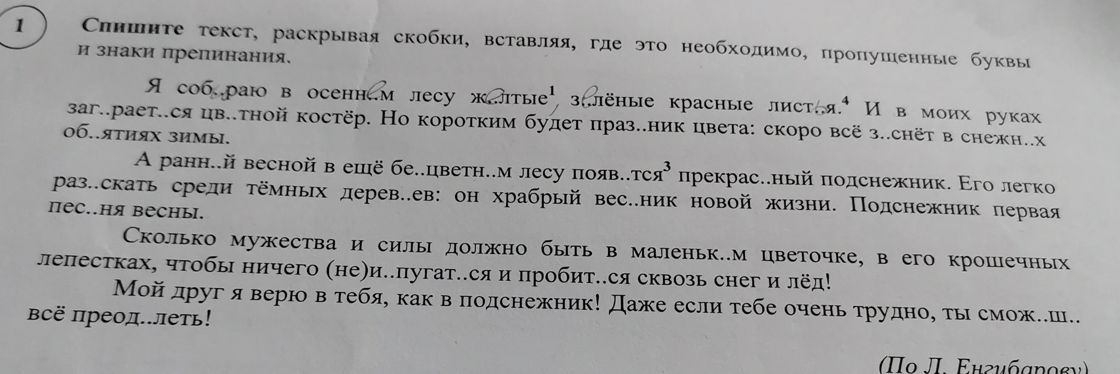 Спишите текст, раскрывая скобки, вставляя, где это необходимо, пропущенные буквы и знаки препинания.