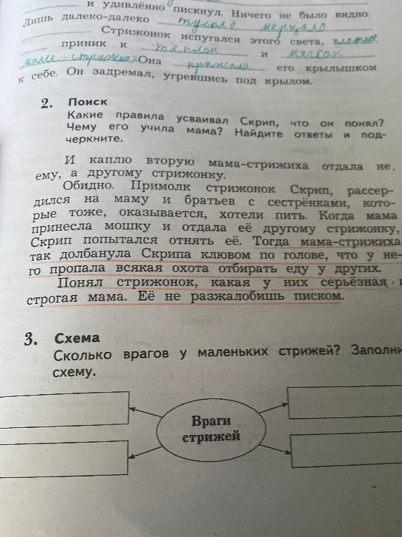 Какие правила усваивал Скрип, что он понял? Чему его учила мама? Найдите ответы и подчеркните.
