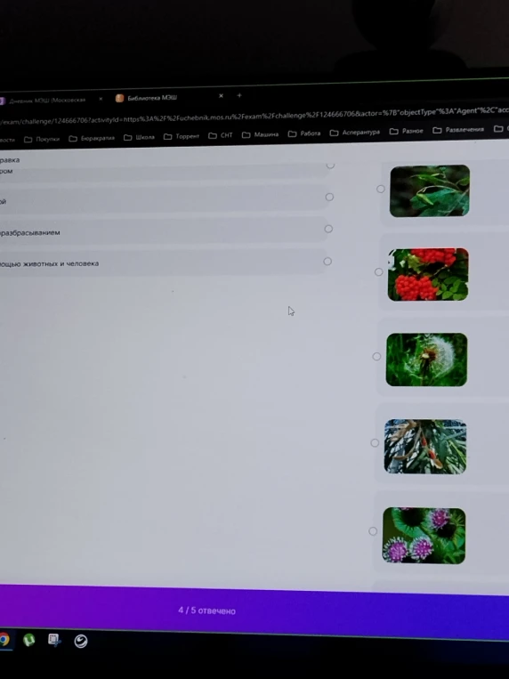 Выберите способ распространения семян для растения на картинке (бешеный огурец/недотрога)