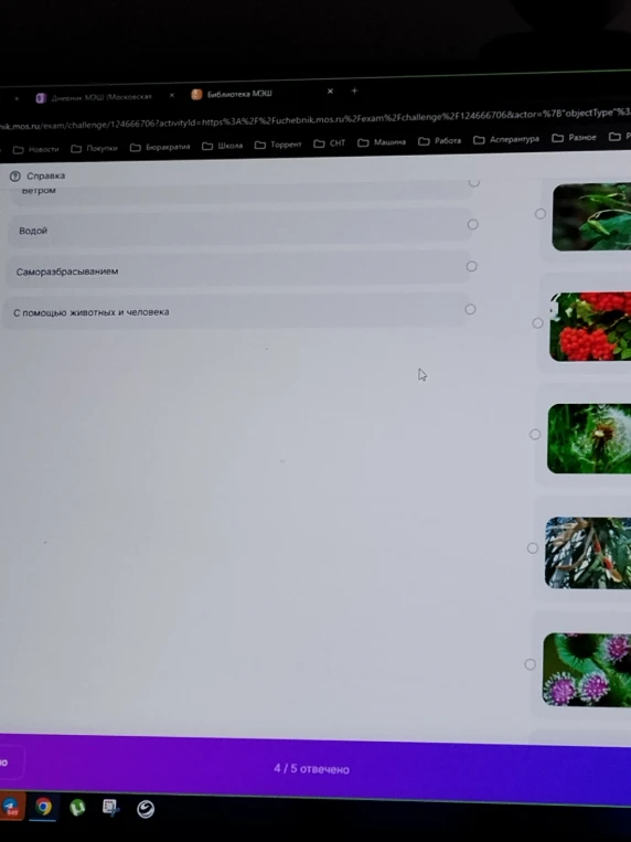 Сопоставьте способы распространения семян с соответствующими растениями на изображениях.