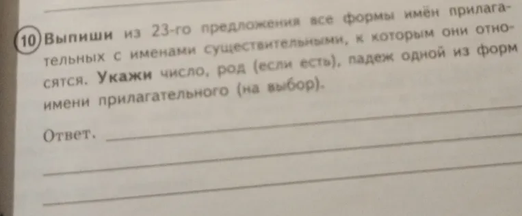 Выпиши из 23-го предложения все формы имён прилагательных с именами существительными, к которым они относятся. Укажи число, род (если есть), падеж одной из форм имени прилагательного (на выбор).