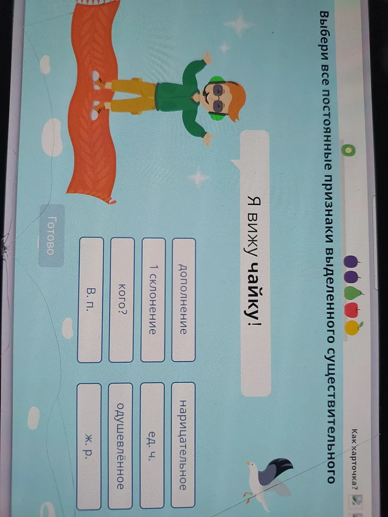 Выбери все постоянные признаки выделенного существительного «чайку» в предложении «Я вижу чайку!»