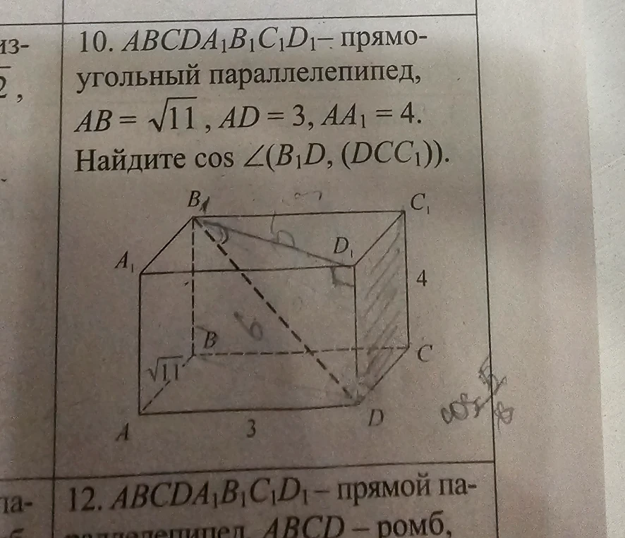 10. $ABCDA_1B_1C_1D_1$ — прямоугольный параллелепипед, $AB = \sqrt{11}$, $AD = 3$, $AA_1 = 4$. Найдите $\cos \angle(B_1D, (DCC_1))$.