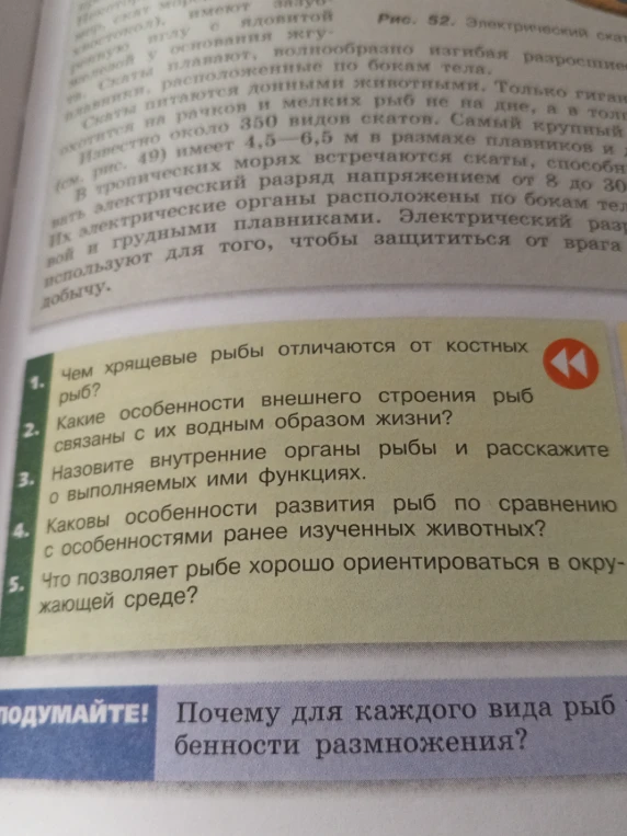Чем хрящевые рыбы отличаются от костных рыб?