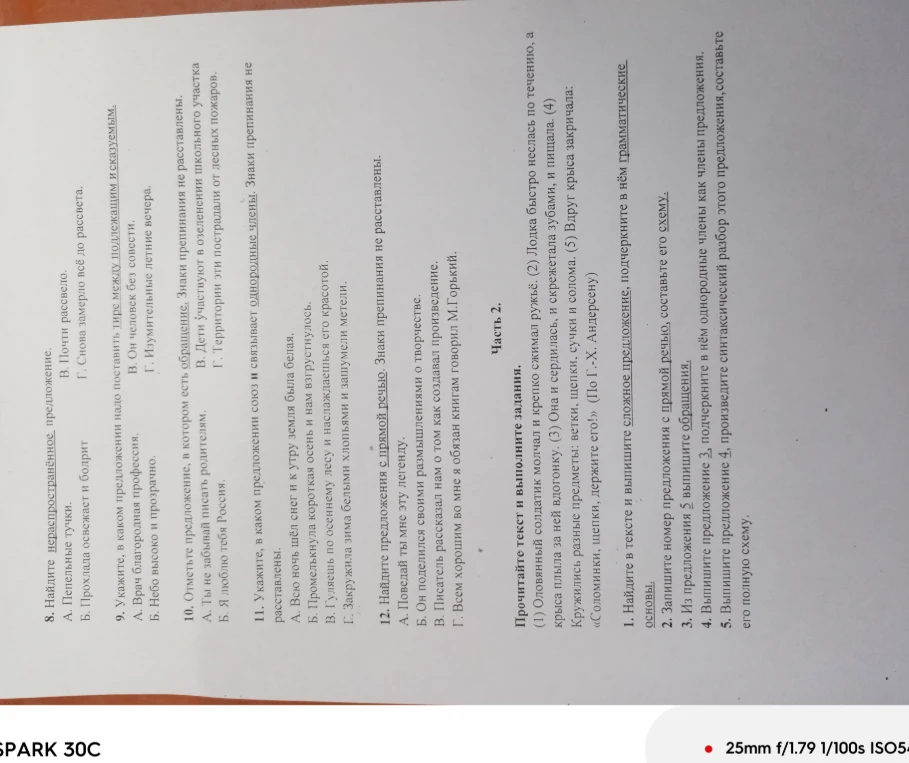 Выполните задания по русскому языку: найдите нераспространенное предложение, определите пунктуацию при обращении и прямой речи, выполните синтаксический разбор.