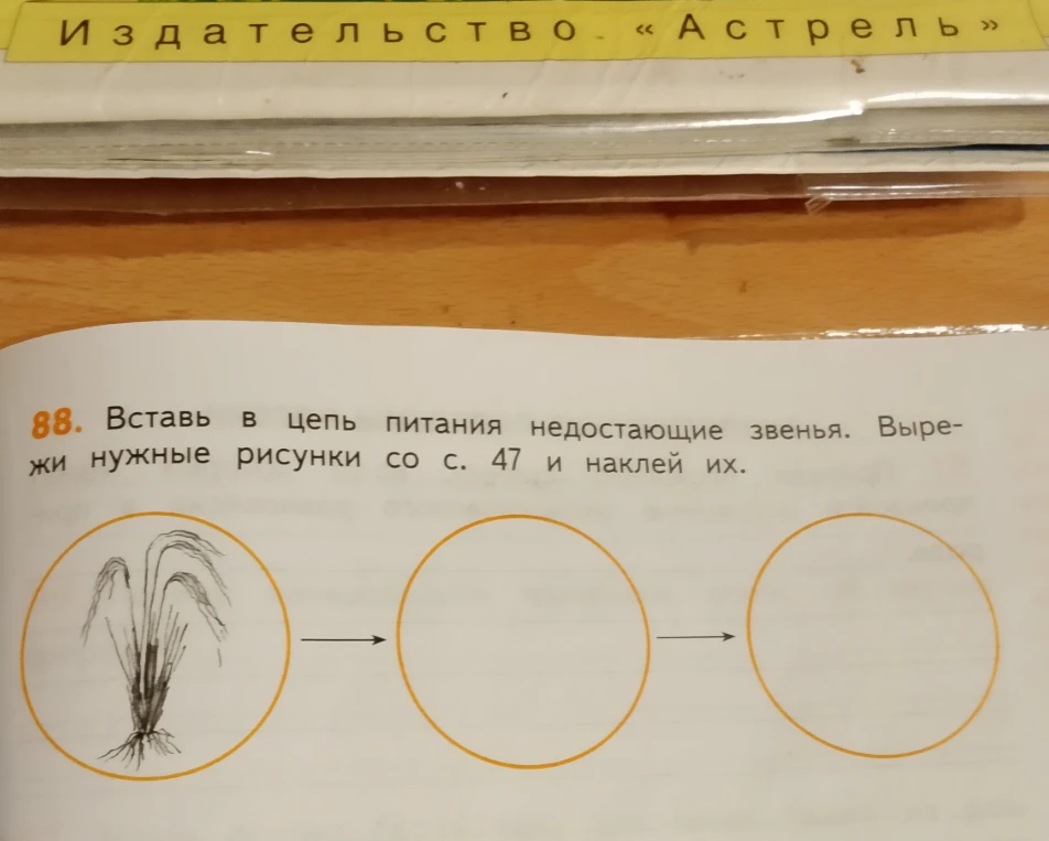 Вставь в цепь питания недостающие звенья. Вырежи нужные рисунки со с. 47 и наклей их.