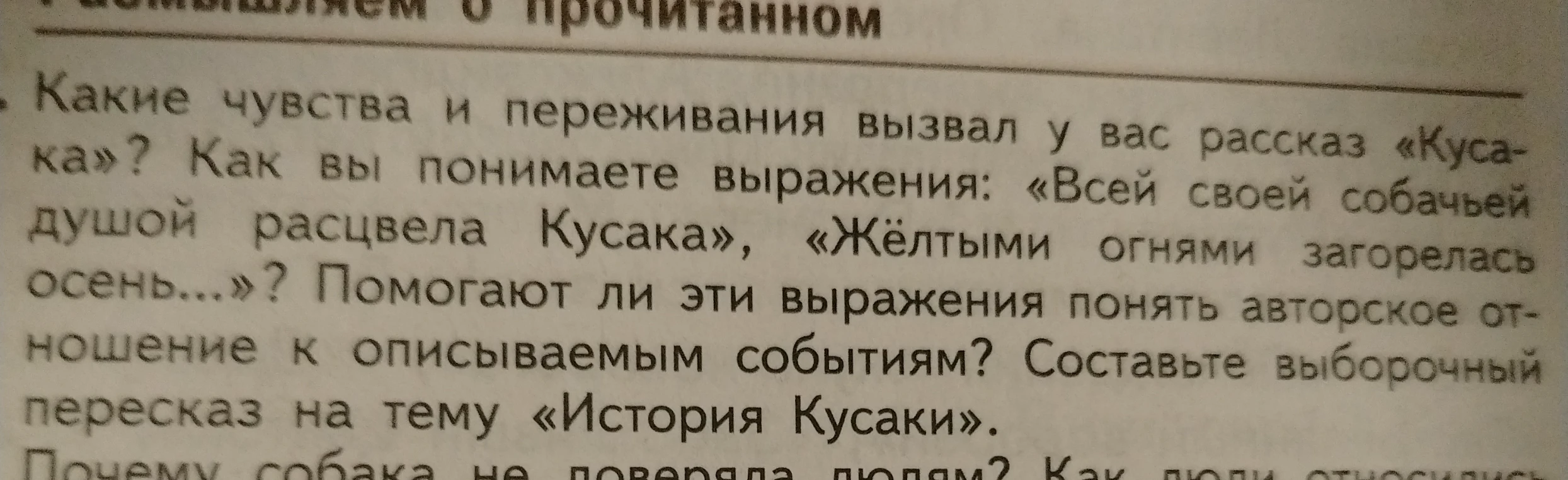 Какие чувства и переживания вызвал у вас рассказ «Кусака»? Как вы понимаете выражения: «Всей своей собачьей душой расцвела Кусака», «Жёлтыми огнями загорелась осень...»?