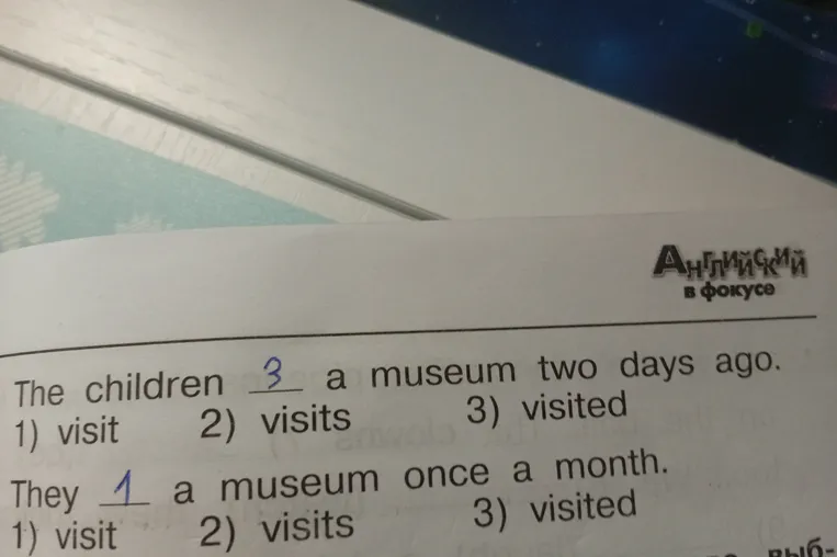 The children ... a museum two days ago. They ... a museum once a month.