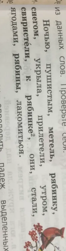 Составьте предложения из данных слов: Ночью, пушистым, метель, рябинку, снегом, укрыла, прилетели, утром, свиристели, к рябинке, они, стали, ягодами, рябины, лакомиться.