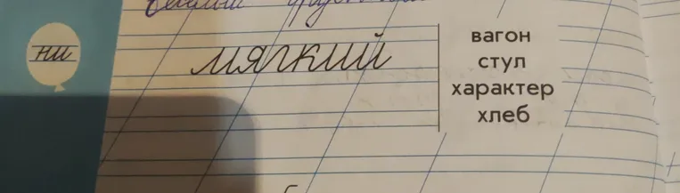 Составьте словосочетания, используя прилагательное 'мягкий' и существительные: вагон, стул, характер, хлеб.
