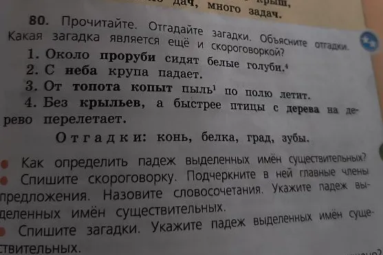 Прочитайте. Отгадайте загадки. Объясните отгадки. Какая загадка является ещё и скороговоркой?