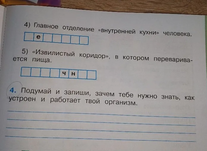Главное отделение «внутренней кухни» человека. «Извилистый коридор», в котором переваривается пища. Подумай и запиши, зачем тебе нужно знать, как устроен и работает твой организм.