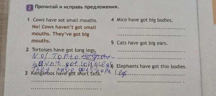 Прочитай и исправь предложения о животных: коровы, черепахи, кенгуру, мыши, кошки, слоны.