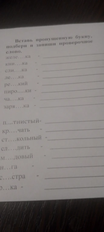 Вставь пропущенную букву, подбери и запиши проверочное слово.
