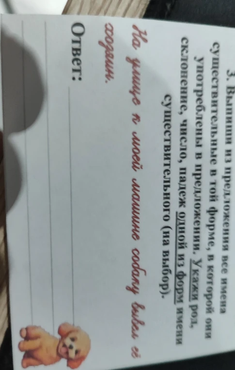 Выпиши из предложения все имена существительные в той форме, в которой они употреблены в предложении. Укажи род, склонение, число, падеж одной из форм имени существительного (на выбор).