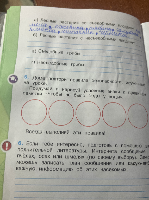 а) Лесные растения со съедобными плодами; б) Лесные растения с несъедобными плодами; в) Съедобные грибы; г) Несъедобные грибы. 5. Дома повтори правила безопасности, изученные на уроке. Придумай и нарисуй условные знаки к правилам памятки «Чтобы не было беды у воды».