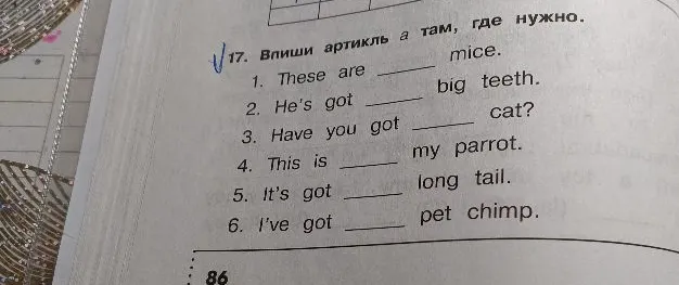 17. Впиши артикль a там, где нужно. 1. These are ____ mice.