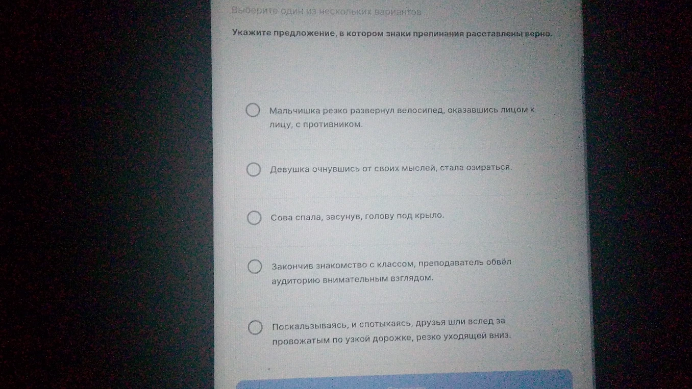 Укажите предложение, в котором знаки препинания расставлены верно.