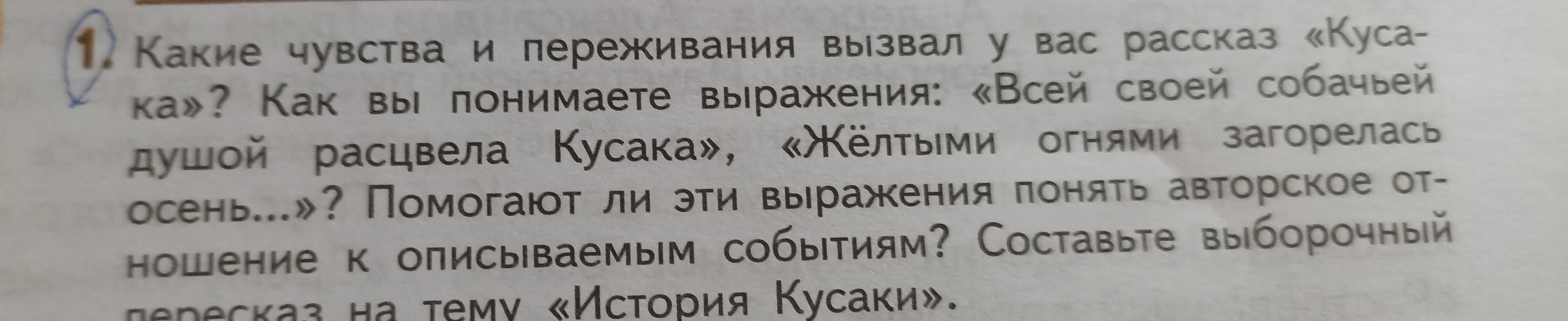 Какие чувства и переживания вызвал у вас рассказ «Кусака»? Как вы понимаете выражения: «Всей своей собачьей душой расцвела Кусака», «Жёлтыми огнями загорелась осень...»? Помогают ли эти выражения понять авторское отношение к описываемым событиям? Составьте выборочный пересказ на тему «История Кусаки».