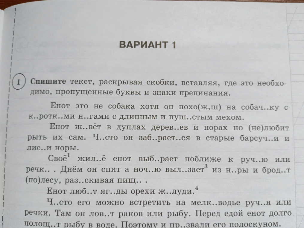 Спишите текст, раскрывая скобки, вставляя, где это необходимо, пропущенные буквы и знаки препинания.