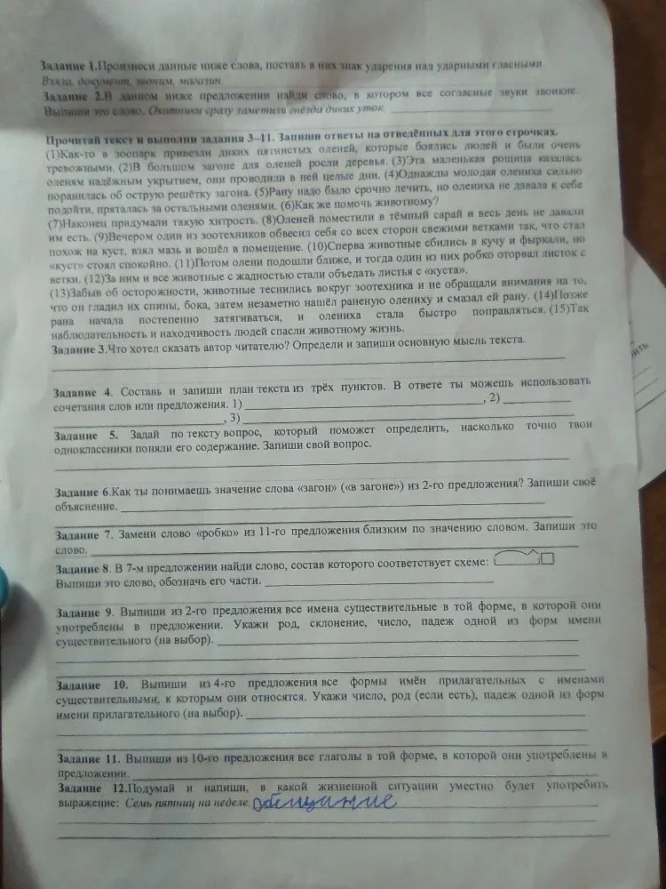 Произнеси данные ниже слова, поставь в них знак ударения над ударными гласными. В данном ниже предложении найди слово, в котором все согласные звуки звонкие.