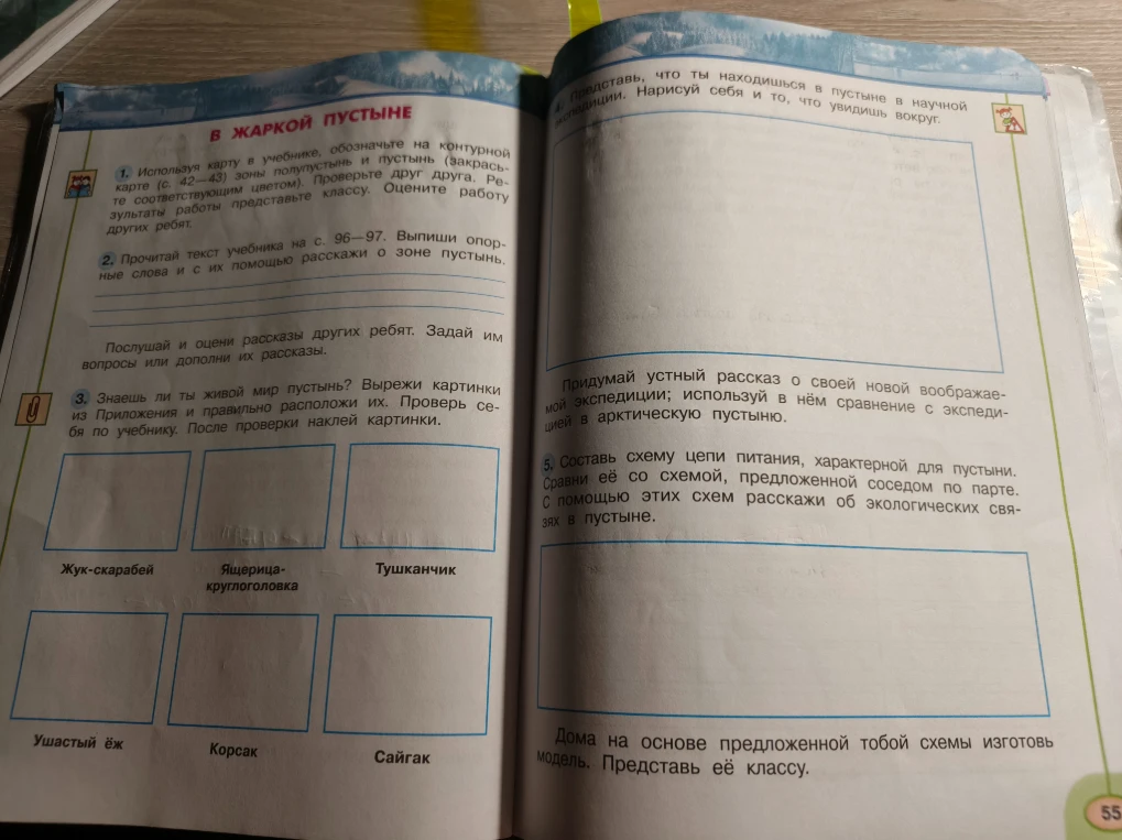 Составь схему цепи питания, характерной для пустыни.