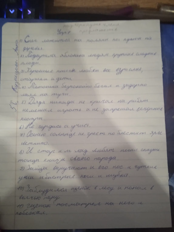 Подчеркните члены предложения.