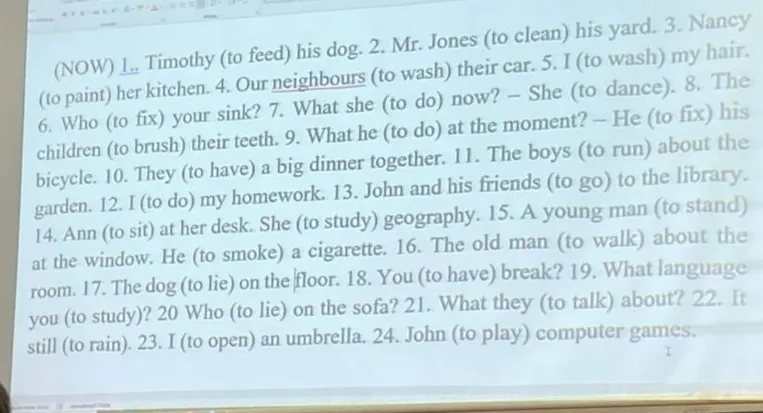 (NOW) 1. Timothy (to feed) his dog. 2. Mr. Jones (to clean) his yard. 3. Nancy (to paint) her kitchen. 4. Our neighbours (to wash) their car.