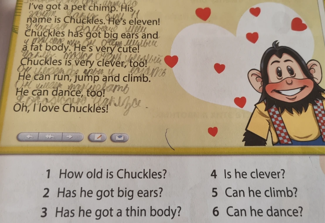 Ответьте на вопросы по тексту о шимпанзе по имени Chuckles: 1 How old is Chuckles? 2 Has he got big ears? 3 Has he got a thin body? 4 Is he clever? 5 Can he climb? 6 Can he dance?