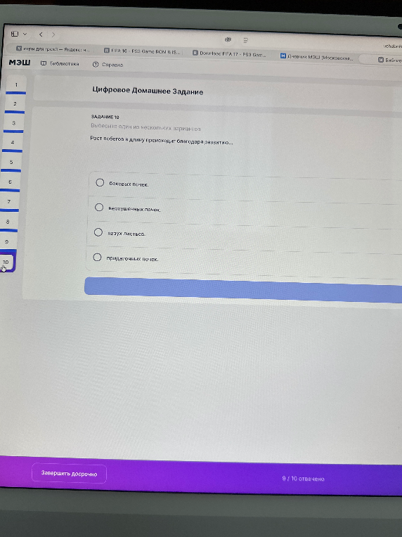 Рост побега в длину происходит благодаря развитию...