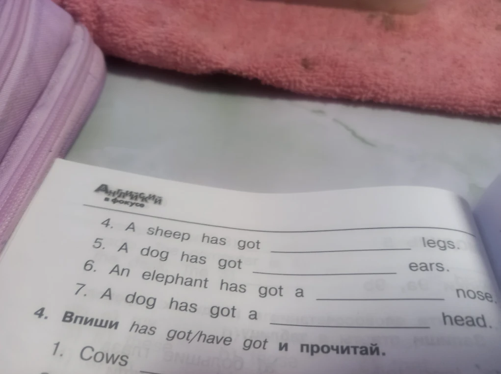 Дополни предложения: 4. A sheep has got ___ legs. 5. A dog has got ___ ears. 6. An elephant has got a ___ nose. 7. A dog has got a ___ head.