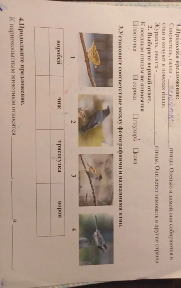 Выполните задания 1-4 по теме 'Птицы и животные' для 3 класса.