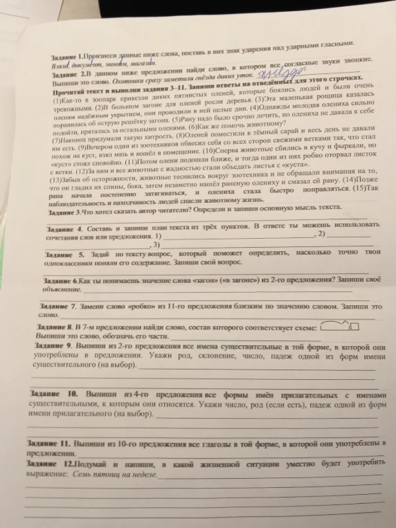 Выполни задания по русскому языку на основе текста про олениху в зоопарке.