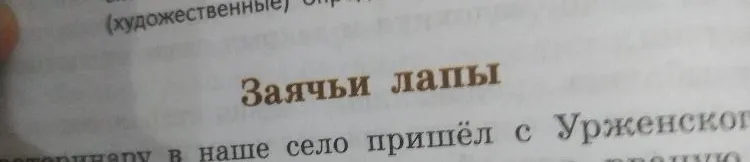 Краткий пересказ «Заячьи лапы»