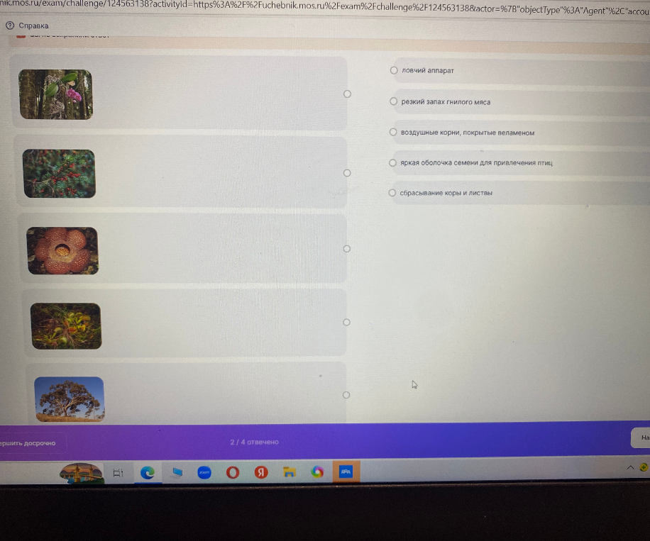 Установите соответствие между изображениями растений и их приспособлениями.