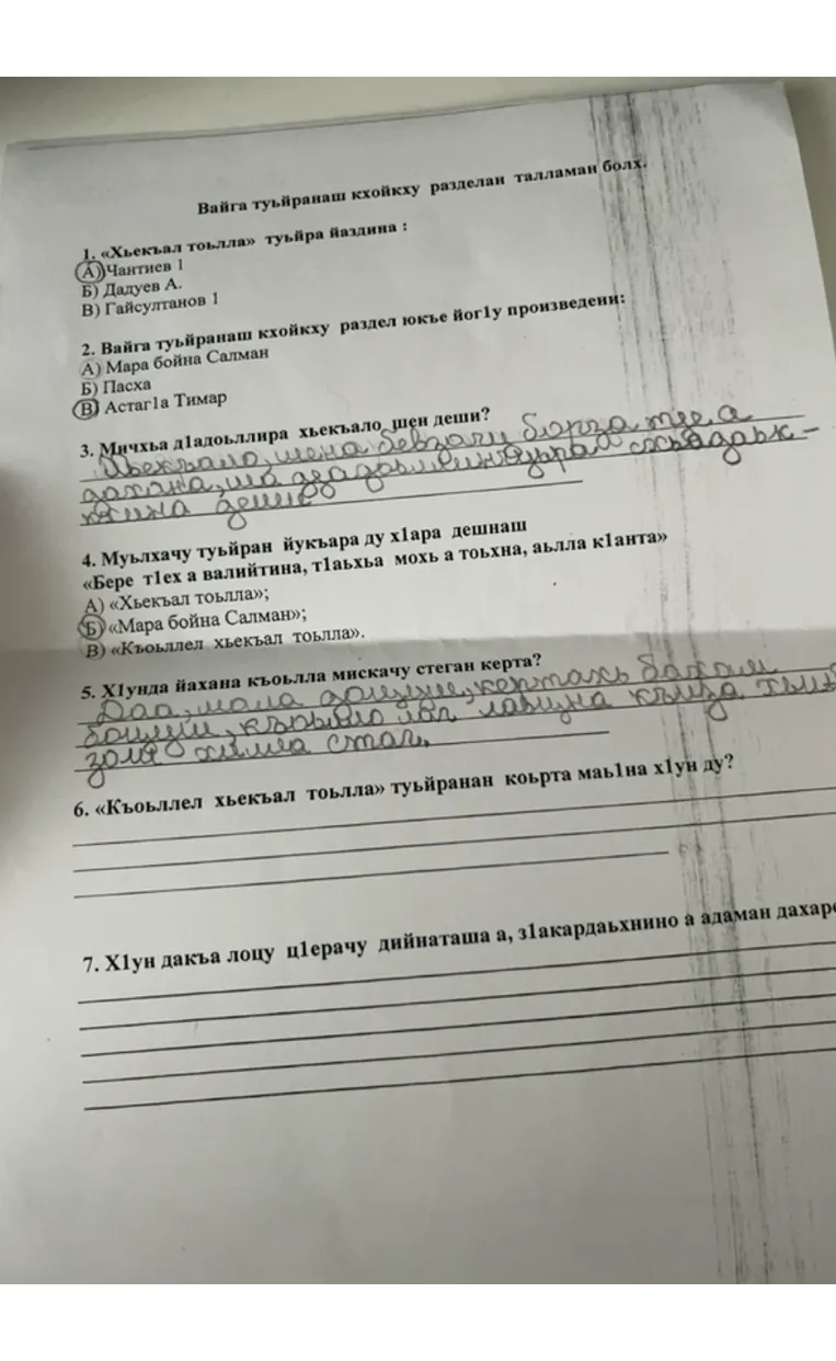 Вайга туьйранаш кхойкху разделан талламан болх.