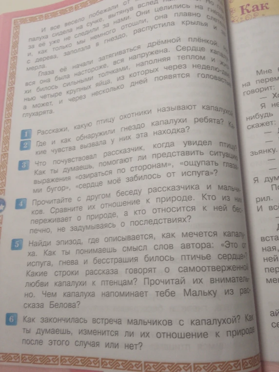 Расскажи, какую птицу охотники называют капалухой
