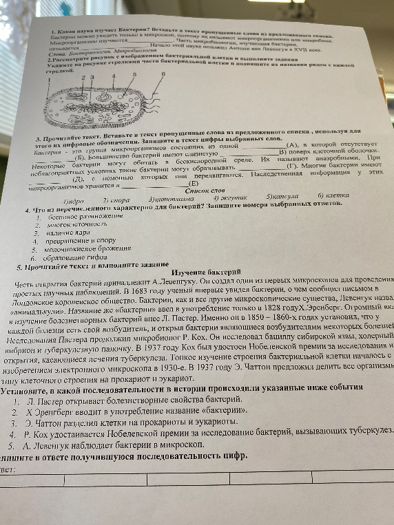 1. Какая наука изучает бактерии? Вставьте в текст пропущенные слова из предложенного списка.