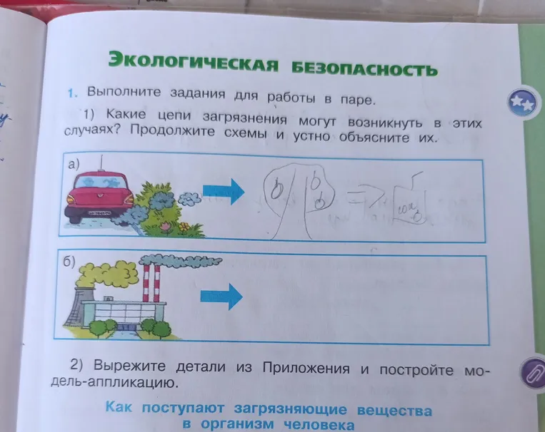Какие цепи загрязнения могут возникнуть в этих случаях? Продолжите схемы и устно объясните их.
