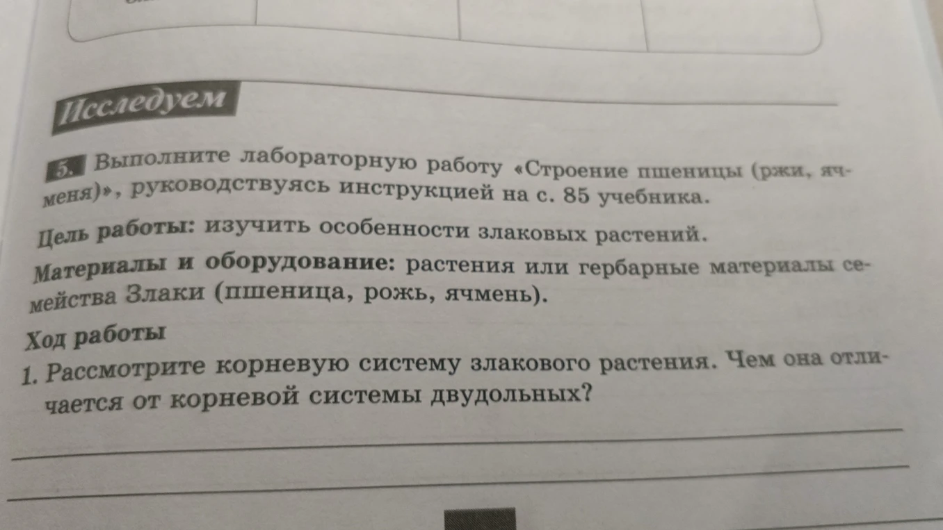 1. Рассмотрите корневую систему злакового растения. Чем она отличается от корневой системы двудольных?