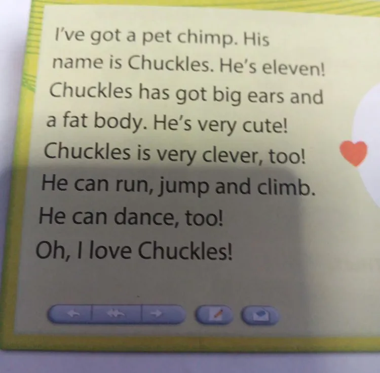 I've got a pet chimp. His name is Chuckles...