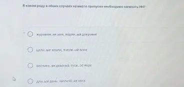 В каком ряду в обоих случаях на месте пропуска необходимо написать НН?