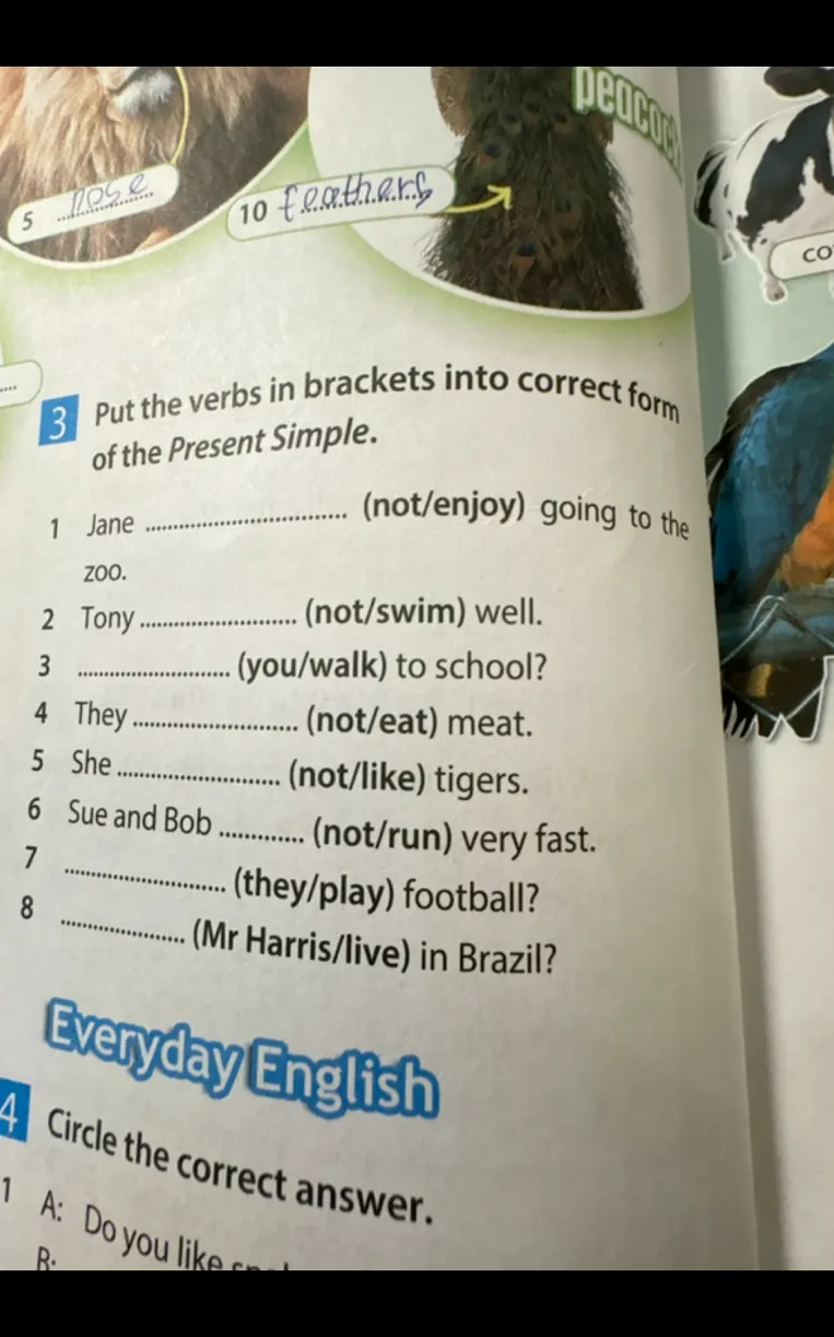 Put the verbs in brackets into correct form of the Present Simple.