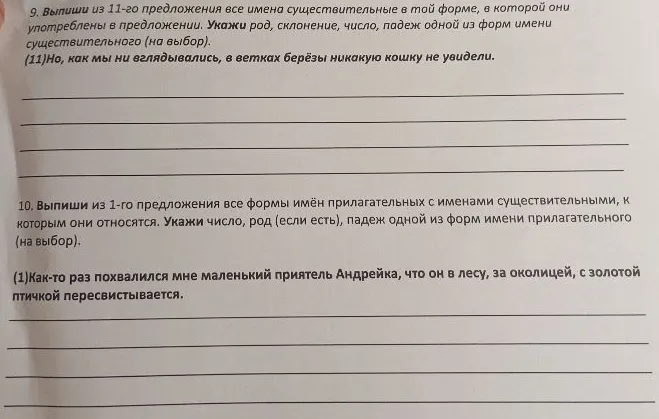 9. Выпиши из 11-го предложения все имена существительные в той форме, в которой они употреблены в предложении. 10. Выпиши из 1-го предложения все формы имён прилагательных с именами существительными, к которым они относятся.