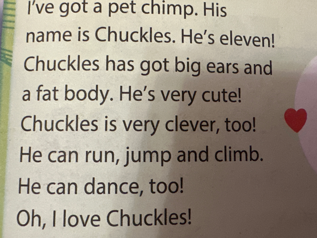 Прочитайте и переведите текст: I've got a pet chimp. His name is Chuckles. He's eleven! Chuckles has got big ears and a fat body. He's very cute! Chuckles is very clever, too! He can run, jump and climb. He can dance, too! Oh, I love Chuckles!