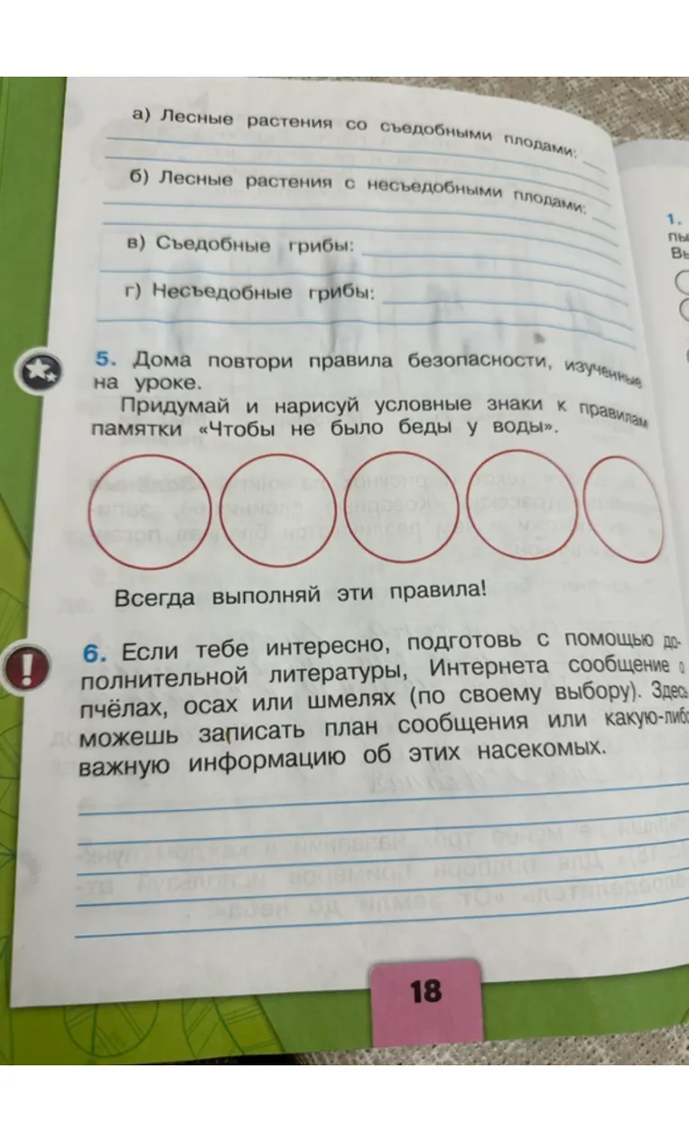 а) Лесные растения со съедобными плодами; б) Лесные растения с несъедобными плодами; в) Съедобные грибы; г) Несъедобные грибы; Задание 5 и 6 на странице 18.