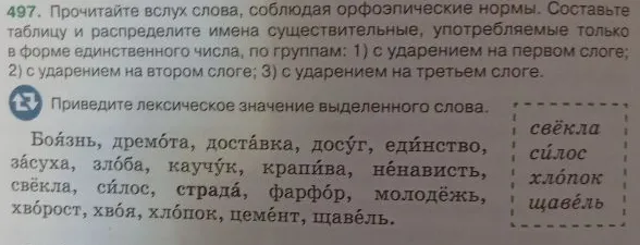 Составьте таблицу и распределите имена существительные, употребляемые только в форме единственного числа, по группам: 1) с ударением на первом слоге; 2) с ударением на втором слоге; 3) с ударением на третьем слоге. Приведите лексическое значение выделенного слова.