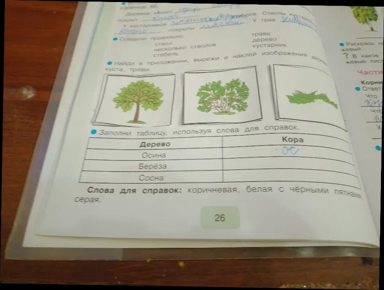 Заполни таблицу, используя слова для справок.