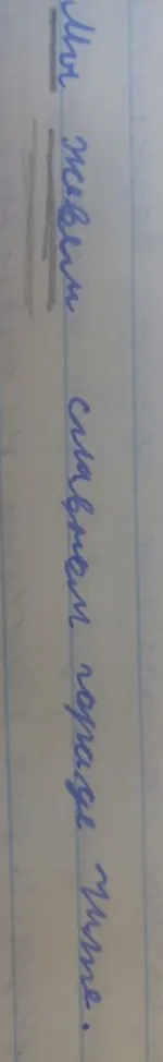 Сделать синтаксический разбор предложения: Мы живем в славном городе Чите.