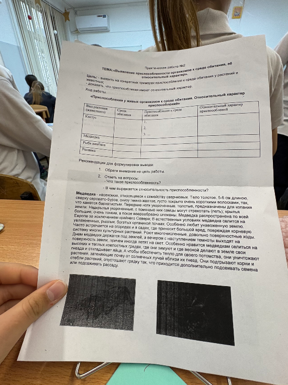 Практическая работа №2: Выявление приспособленности организмов к среде обитания, её относительный характер. Заполните таблицу для медведки.